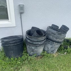 Large Plant Pots + Small Pots.  All $75