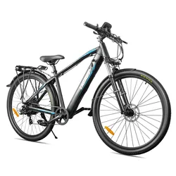 Lagads 29in Electric Bike 25km