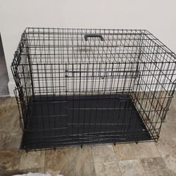 Precision Pet Products