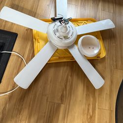 Free 40 inch fan with light