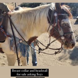 Horse Breast Collar And Bridle Set 