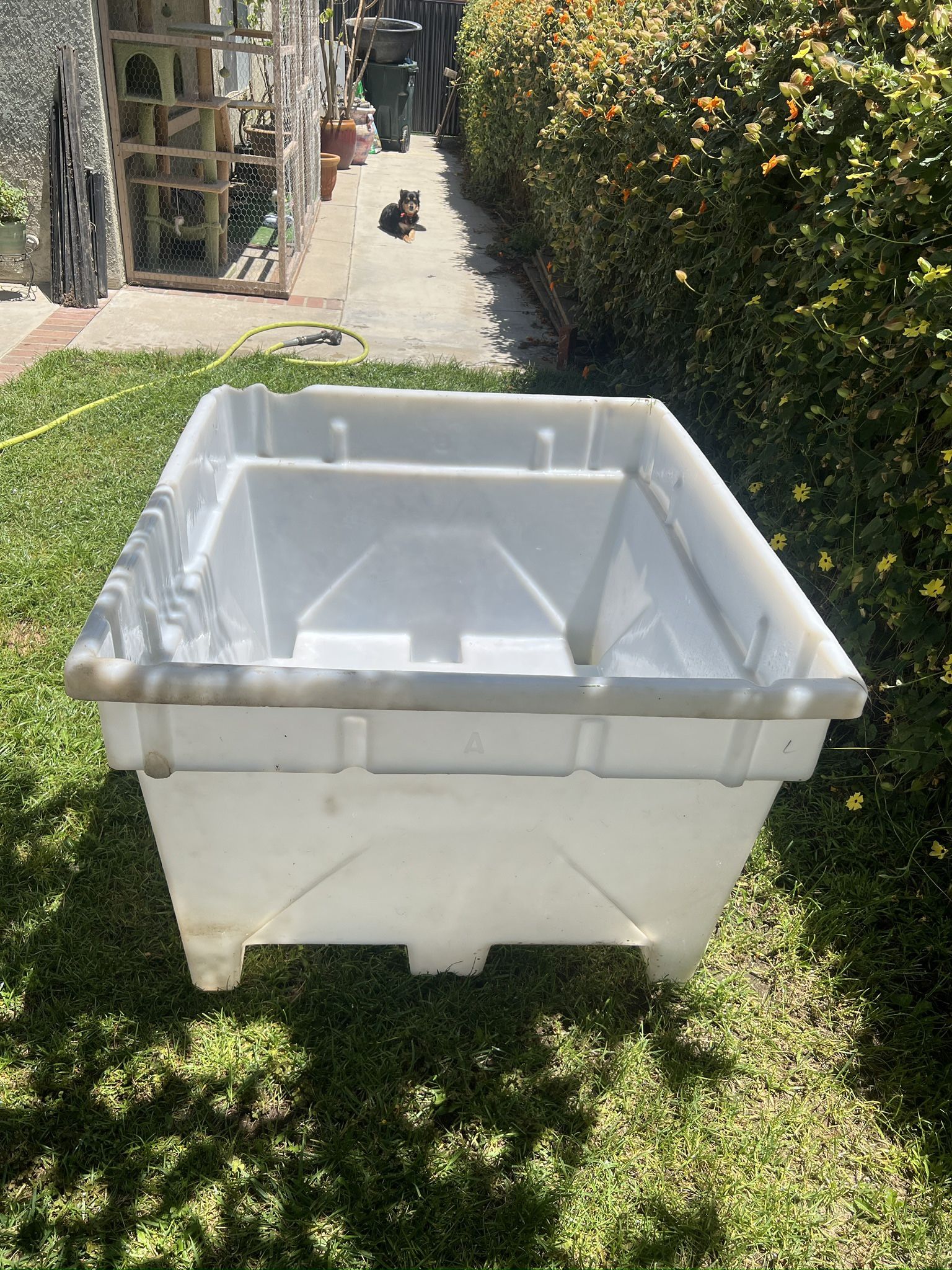 Water Tank/Container Hydroponic Koi Fish Pond