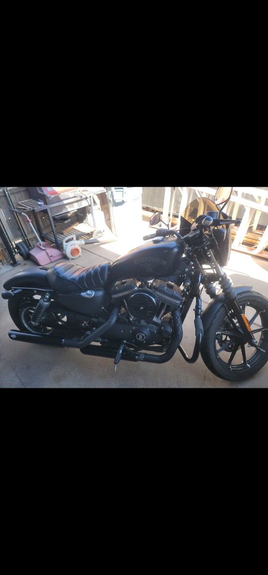 2016 Harley Davidson 883 Iron Runs And Looks Great
