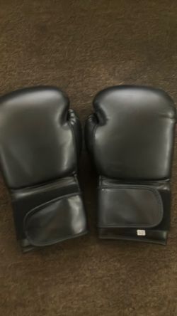 Boxing Gloves 14oz