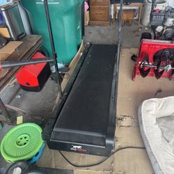 Dog Treadmill 