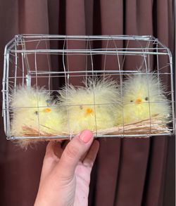 3 little chicks decoration
