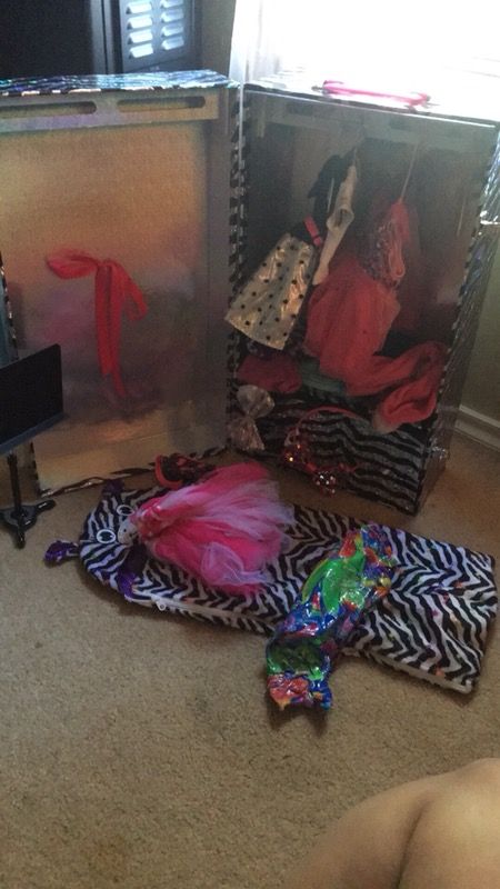 Dolls closet  & Hobbies