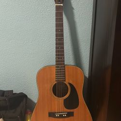 Rare Syain Guitar