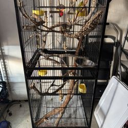 Conure Cage