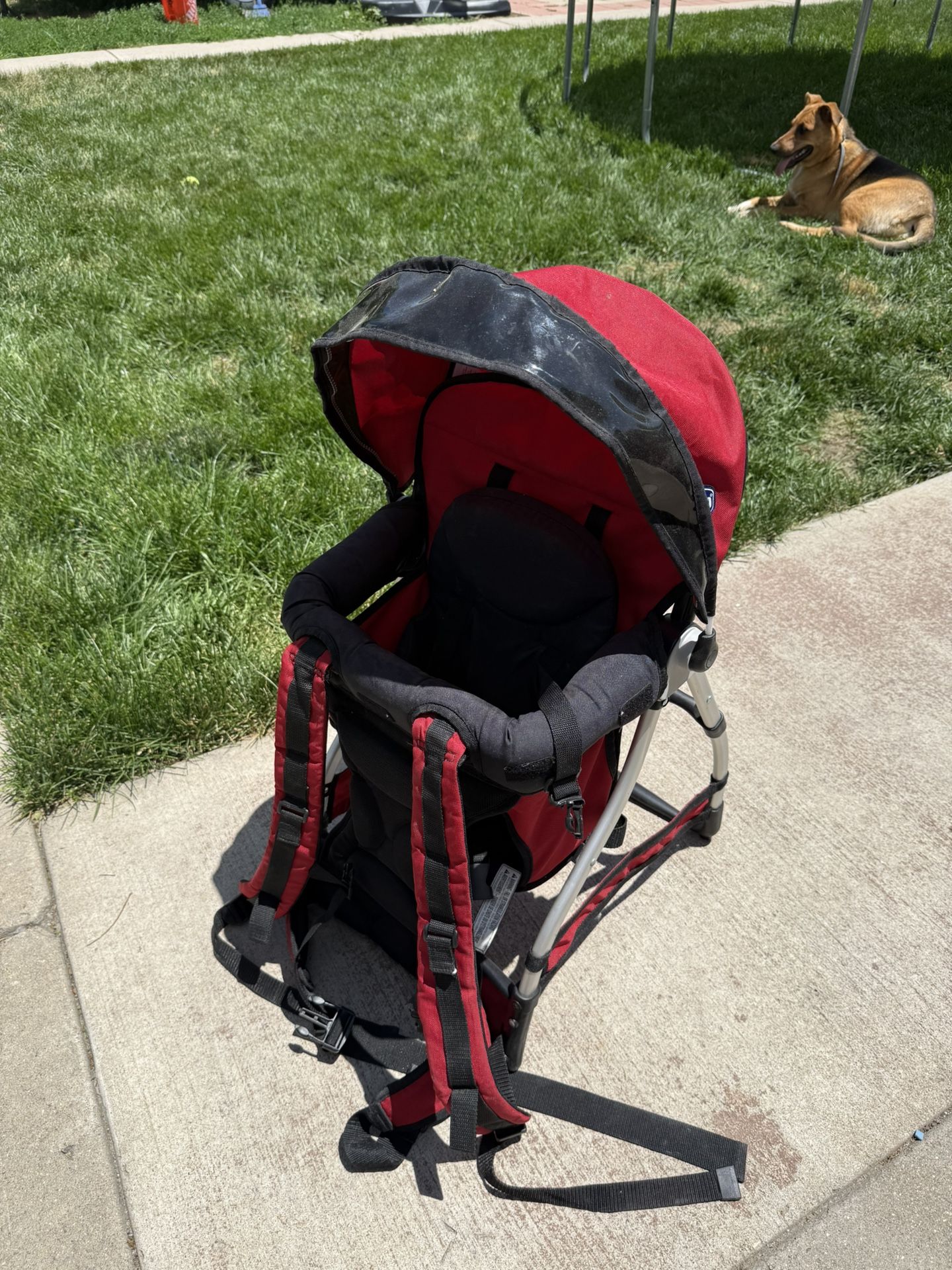 Chicco Smart support Backpack Carrier