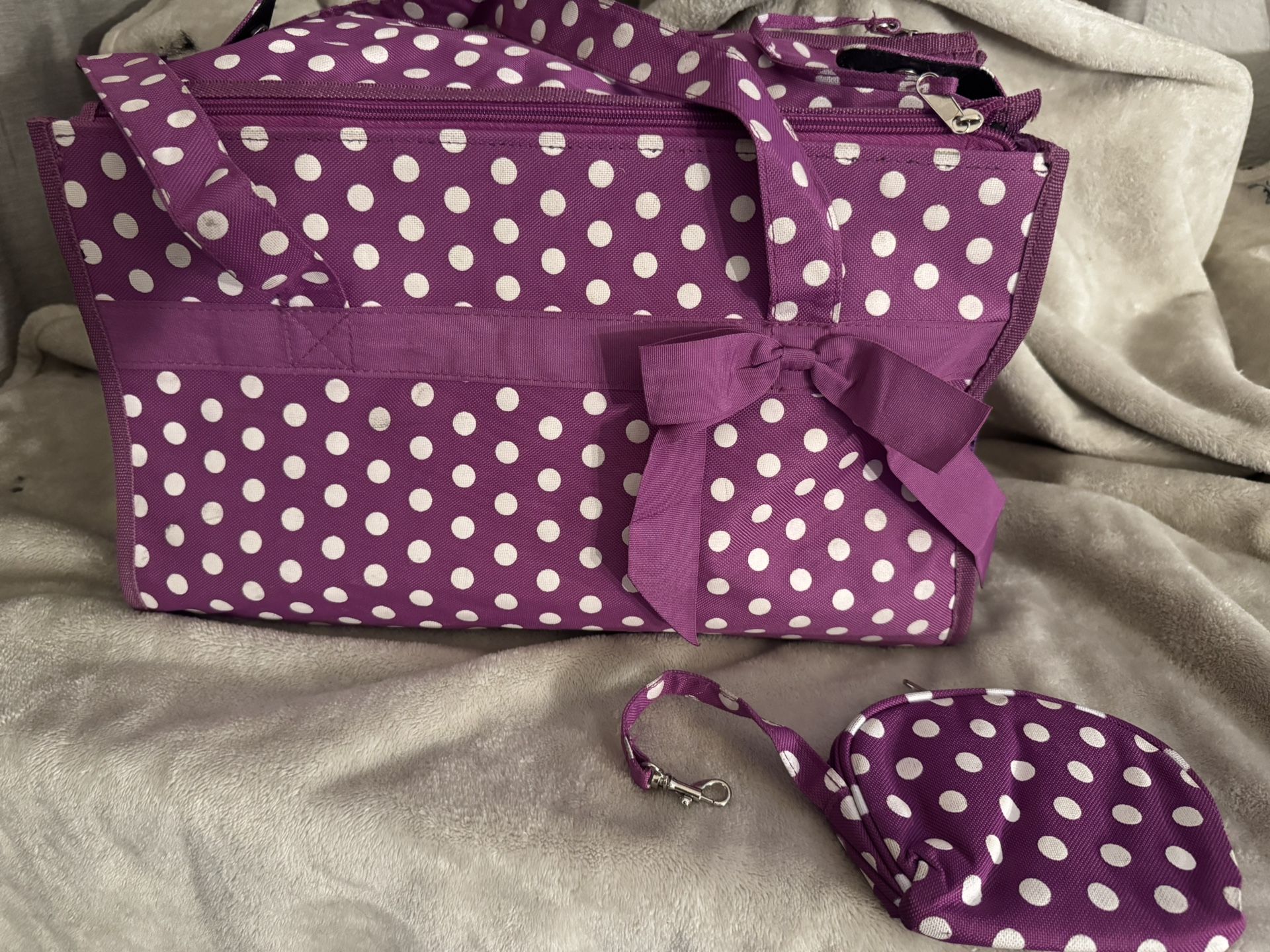 Pet Carrier With Matching Treat Bag