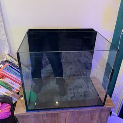 40 Gal Saltwater Aquarium 