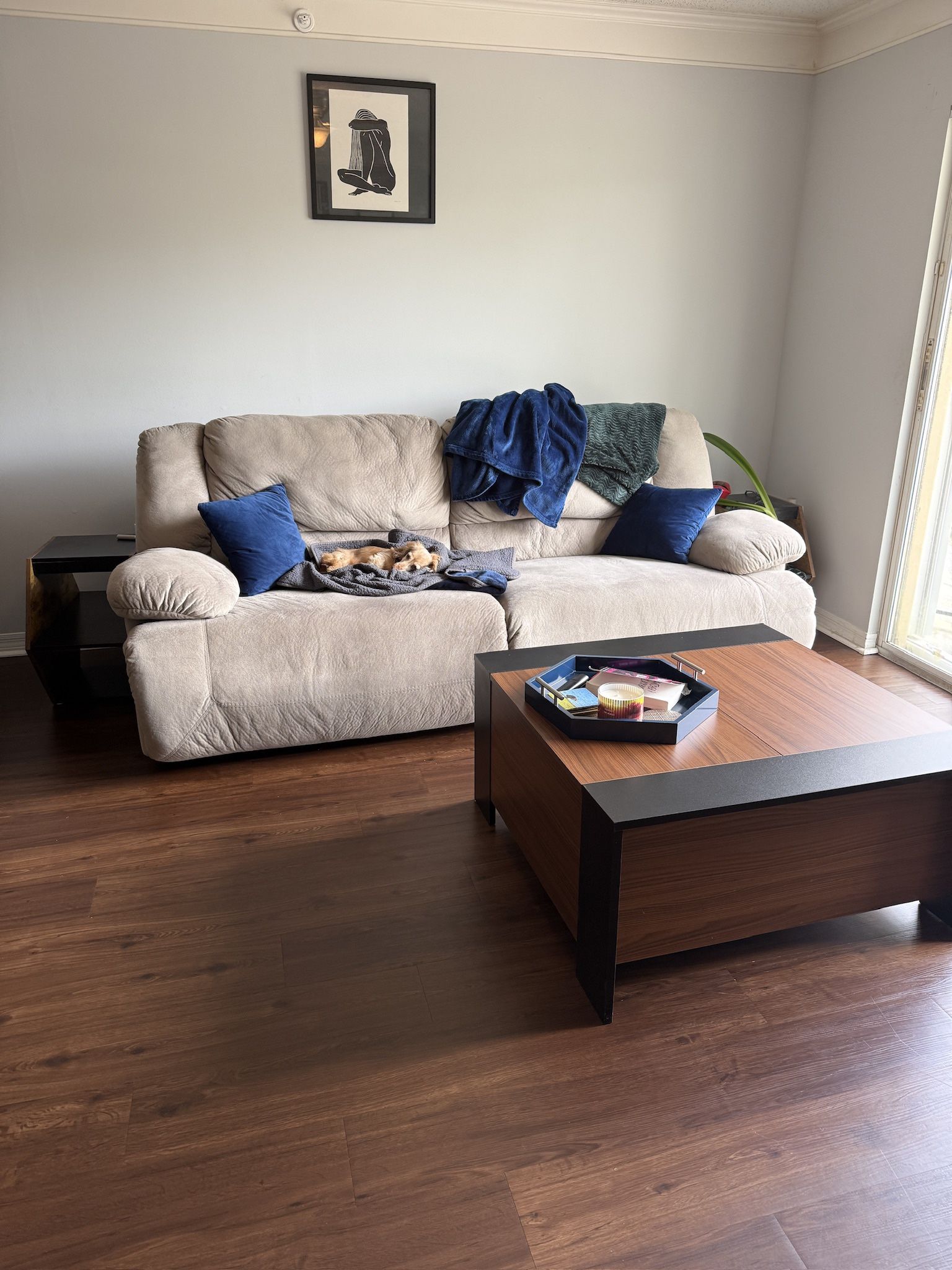 Couch (Free)