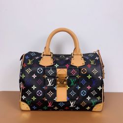 Louis Vuitton multicolor speedy 30 handbag