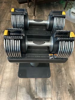 Gold’s Gym Plate 100 Adjustable Dumbells
