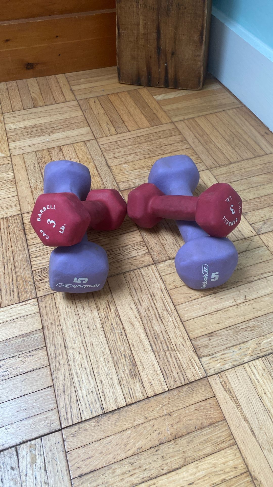 Dumbbell Weights