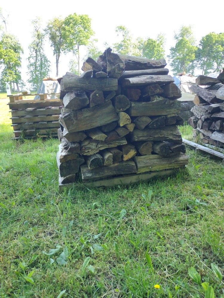 Fire Wood Or Camping Wood 