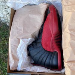 Jordan 12 Flu Game