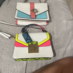 Aldo Purse Bag