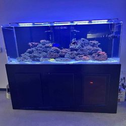 get his Top Fish Tank Setup – Great Design and Quality