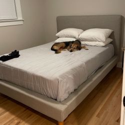 Mid-Century Fabric Queen Upholstered Platform Bed in Light Gray