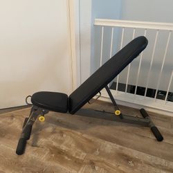 Reclining Weight Bench And Back Brace
