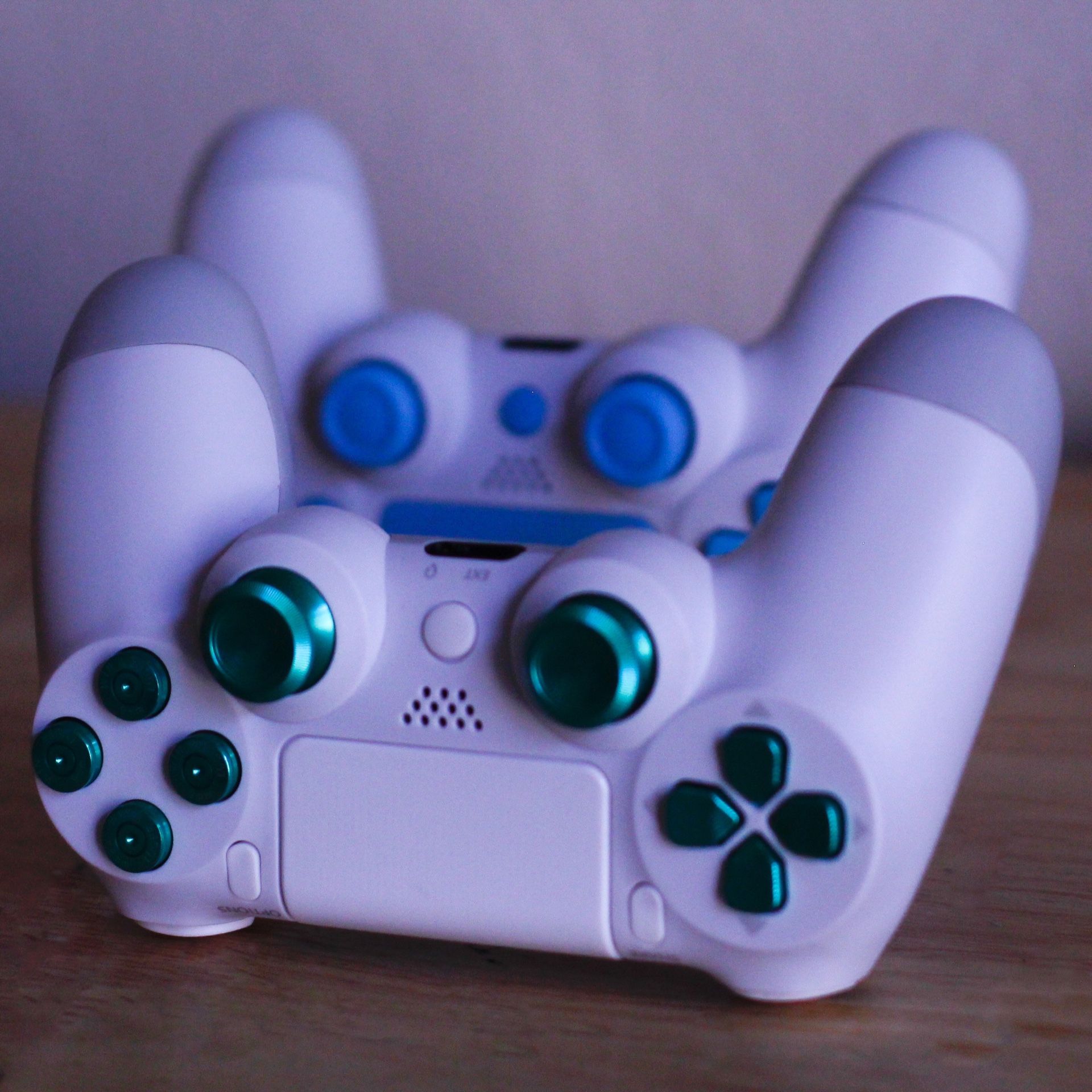 Winter Pine - DUAL SHOCK 4 - Wireless Bluetooth Custom PlayStation Controller - PS4 / PS3 / PC