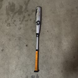 Voodo demarini baseball bat