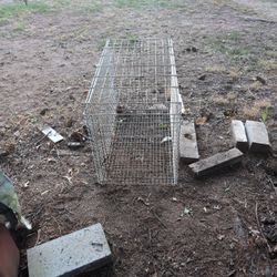 Animal Crate 