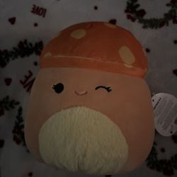 Fuzzy Mushroom Squishmallow 