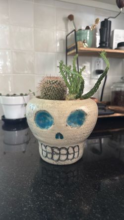 Handmade Skull Planter