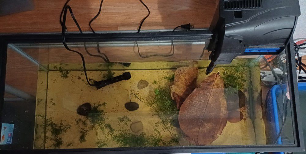Fish Tank With Heater, Filter And Aquarium Sand