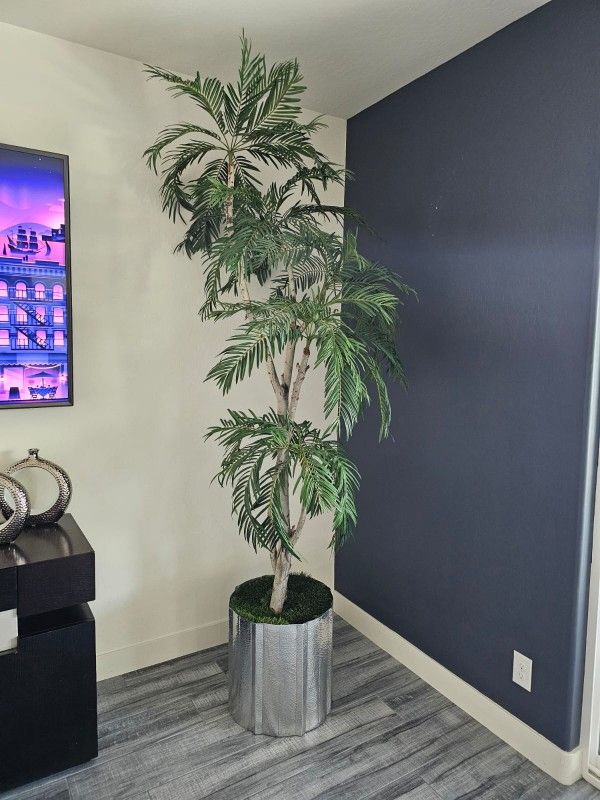 Palm Tree Plant 8.5'