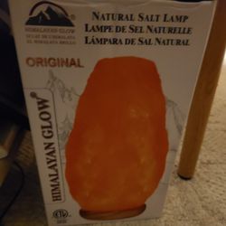 Brand New Himalayan Salt Lamp