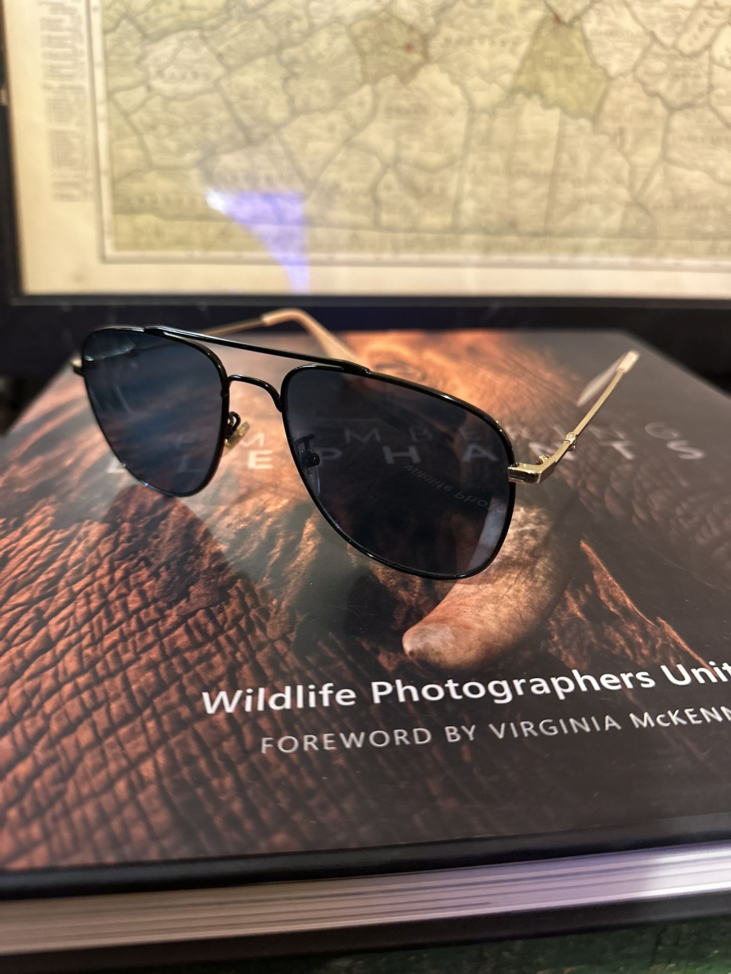 GUCCI Aviators Sunglasses
