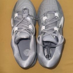 Nike Zoom Freak 4 – Wolf Grey/White (New, Giannis) Size 7.5