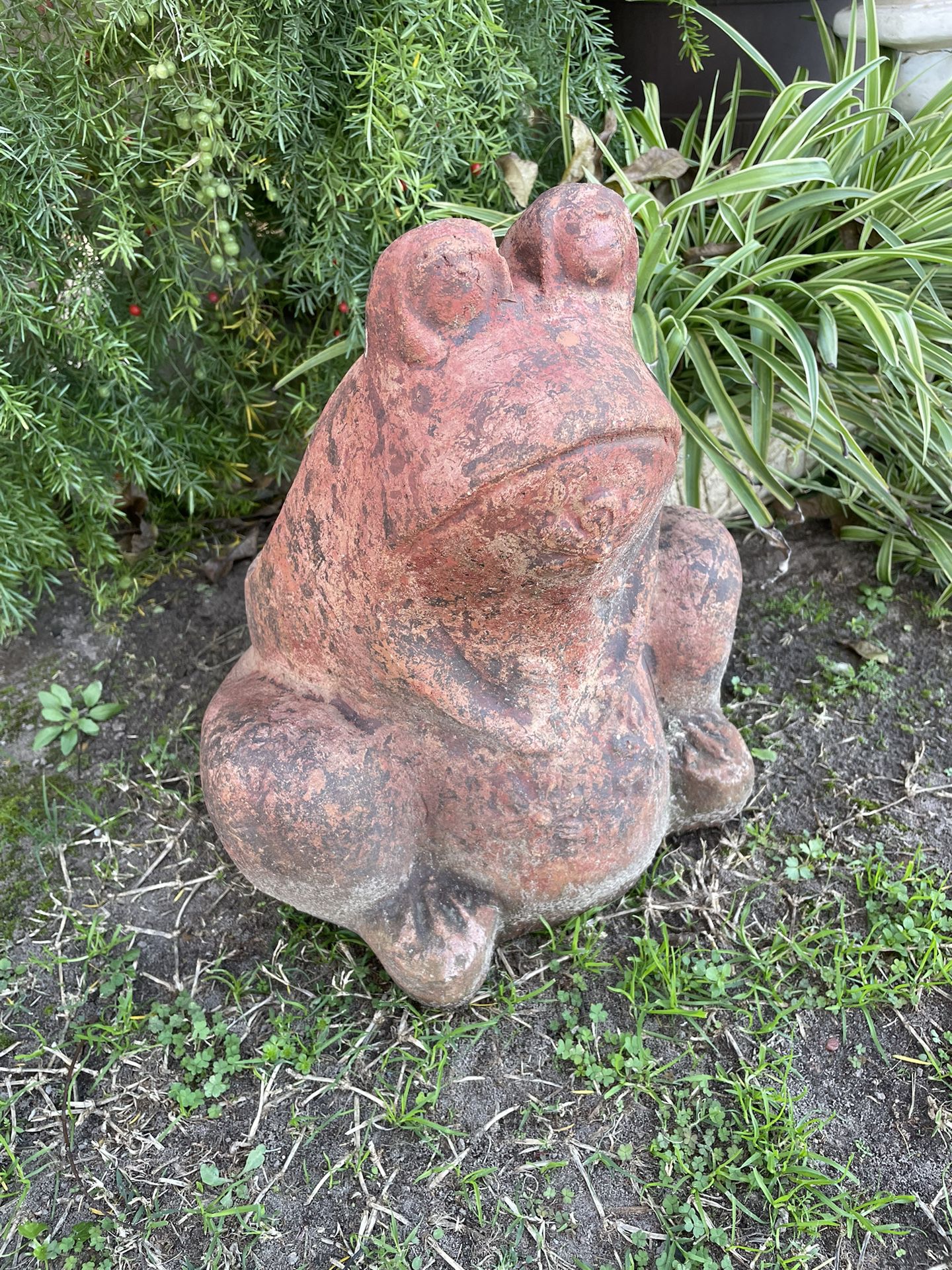 Frog Flower Pot
