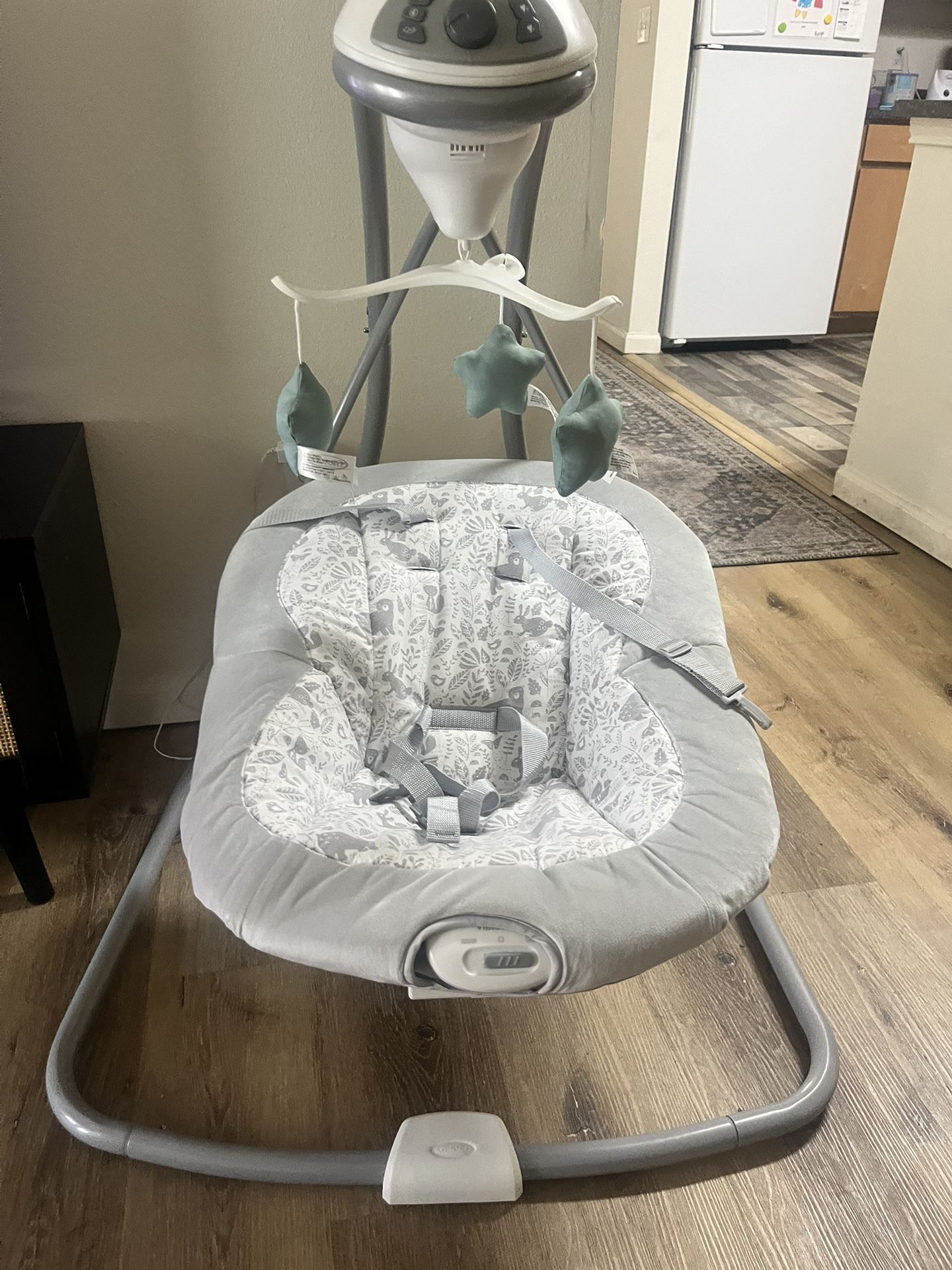 Baby Swing