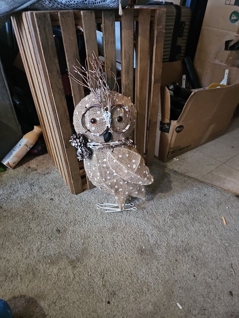Owl