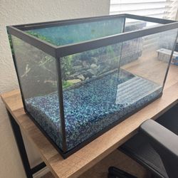 5 Gallon Fish Tank