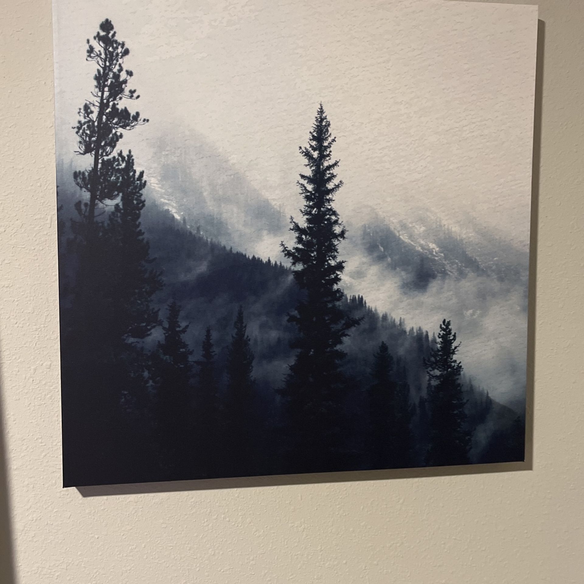 Navy Blue Mountain Photo