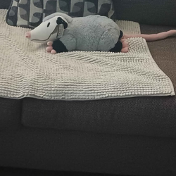 Possum weight wild life plush