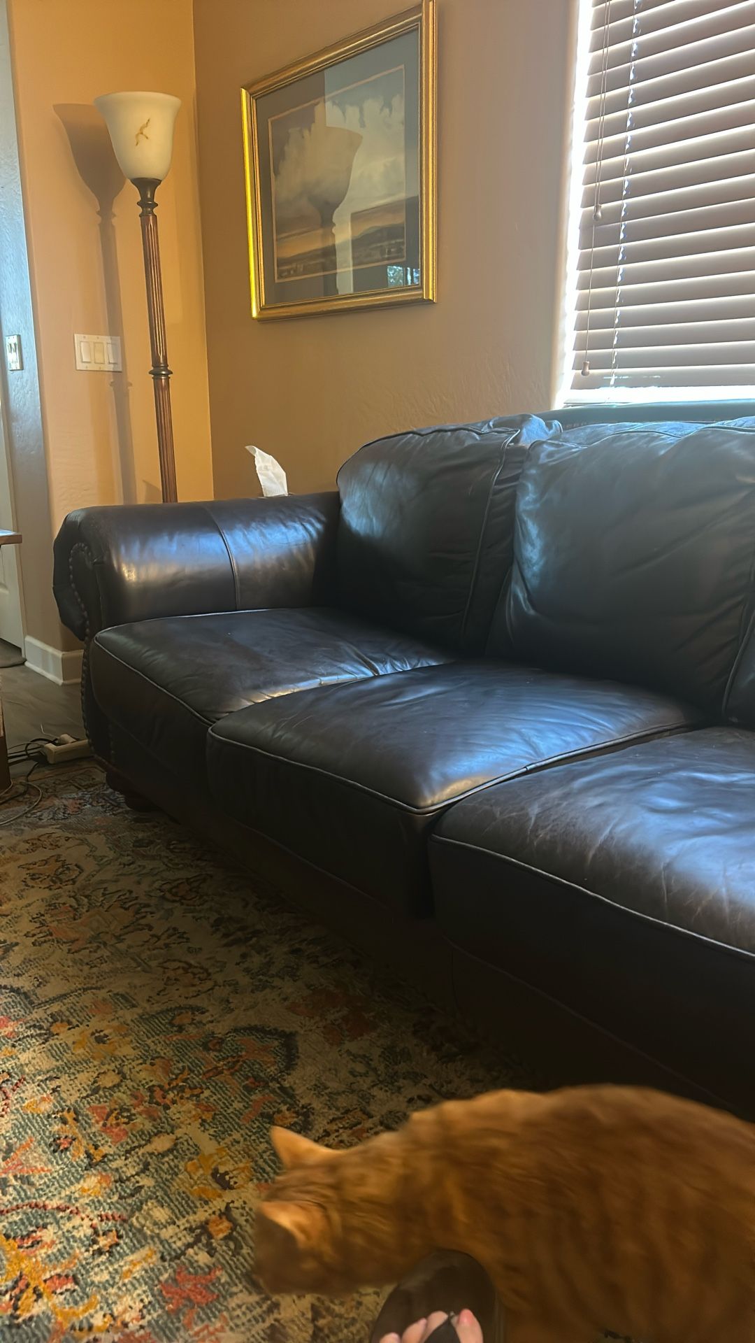 Classic Leather Sofa