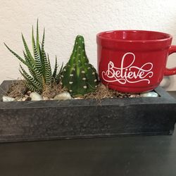 Believe Valentines Mug