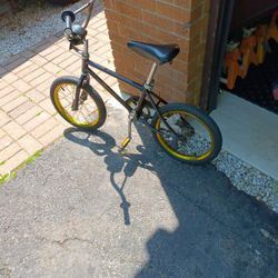 Schwinn 16 Inch Bike