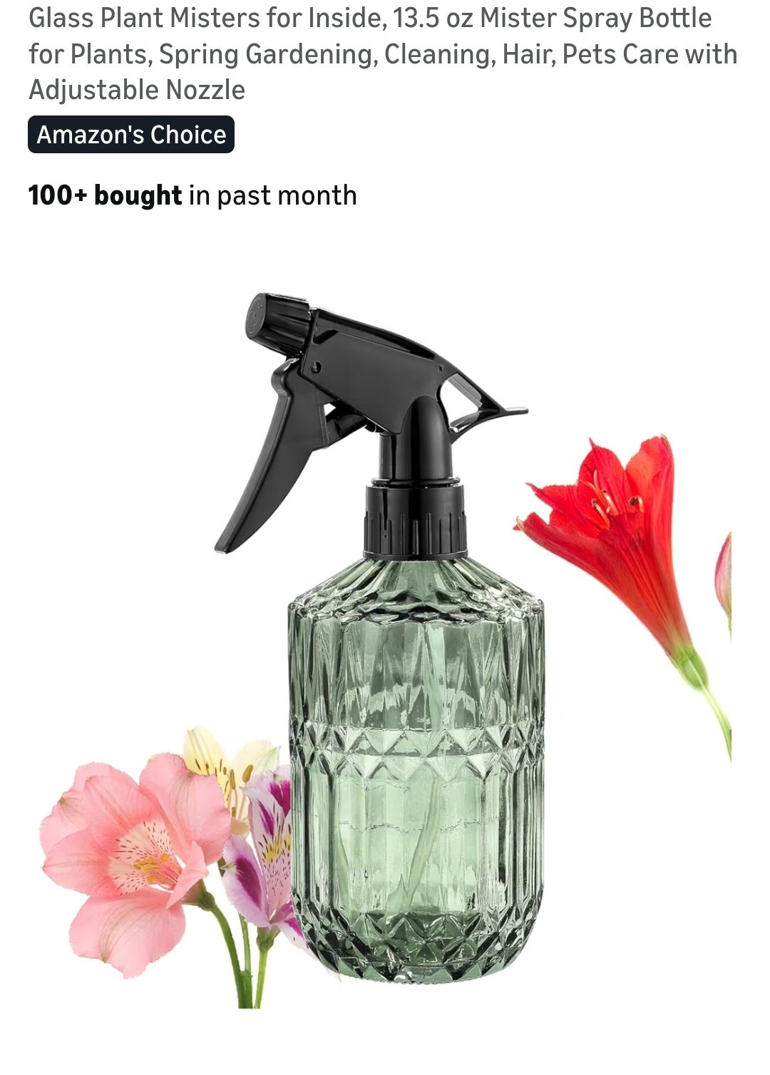 New Glass Spay Bottle