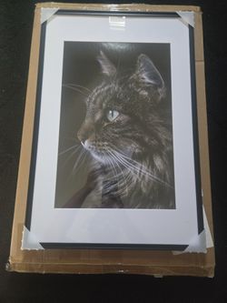 Rich FOCUS 16x24 Brand New Frame W/insert.