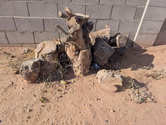 Free big logs of firewood