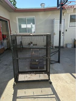 Cage
