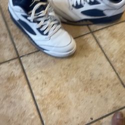 Jordan Retro 5 (dunk From Above)